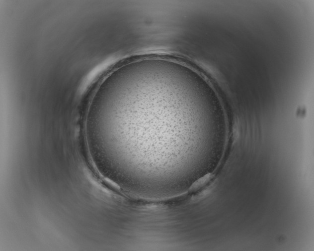X0000113331406200909211209