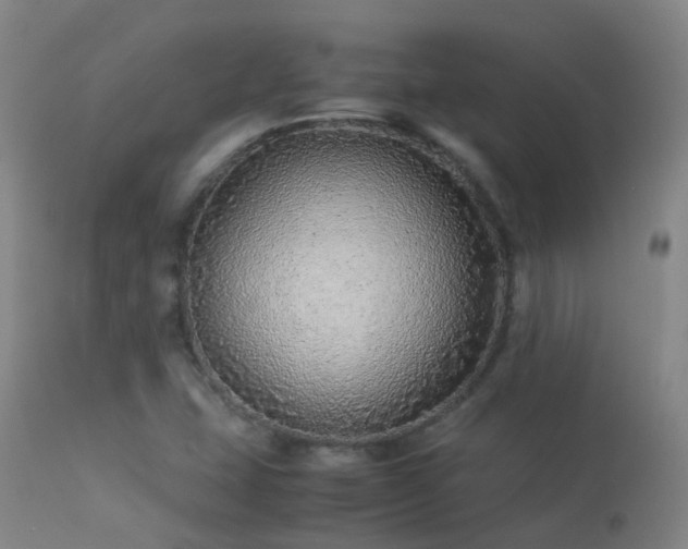 X0000113331407200909211209