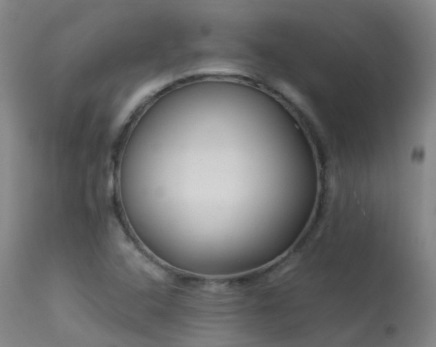 X0000113331408200909211209