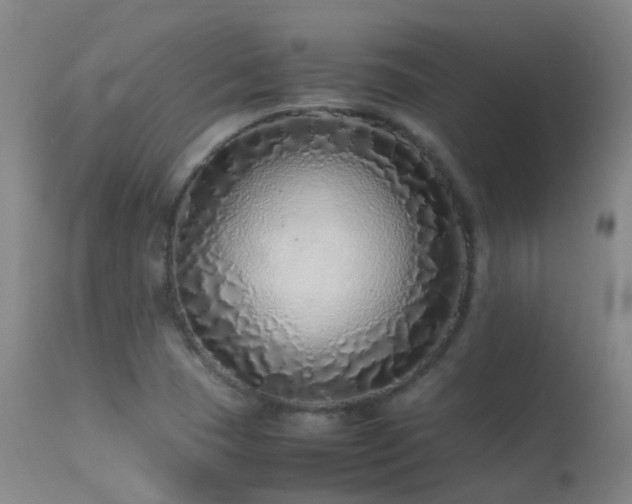 X0000113331409200909211209