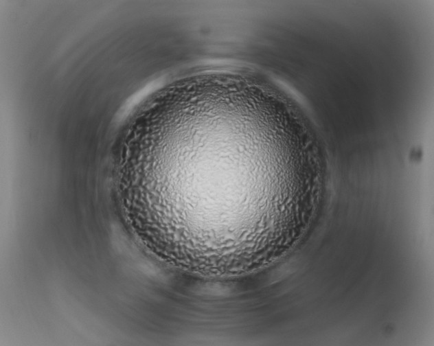 X0000113331411200909211209