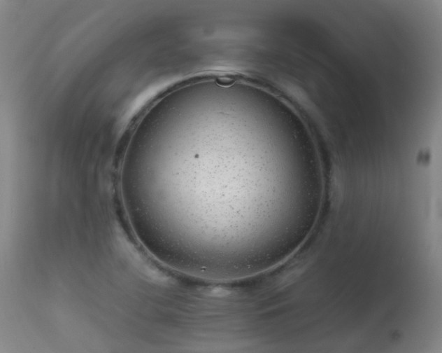 X0000113331412200909211209
