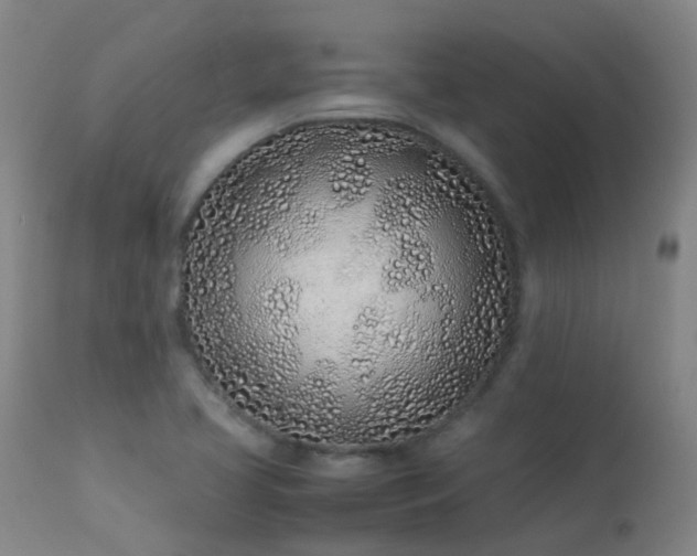 X0000113331413200909211209