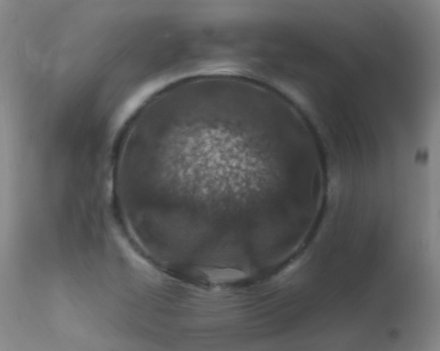 X0000113331414200909211209
