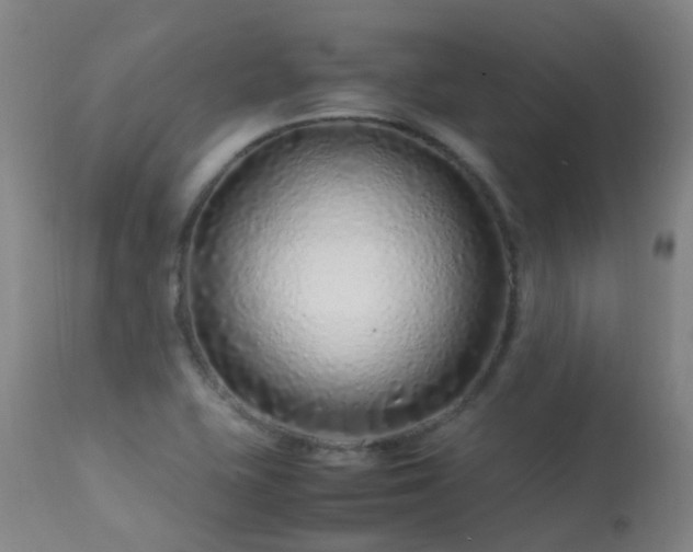 X0000113331415200909211209