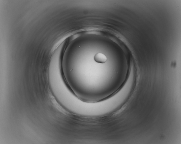 X0000113331417200909211209