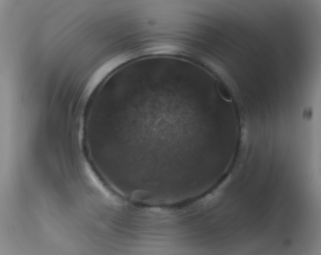 X0000113331418200909211209