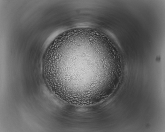 X0000113331419200909211209
