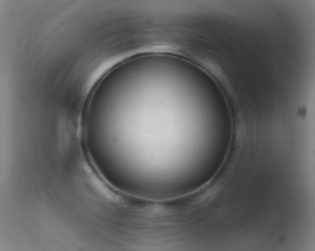 X0000113331420200909211209