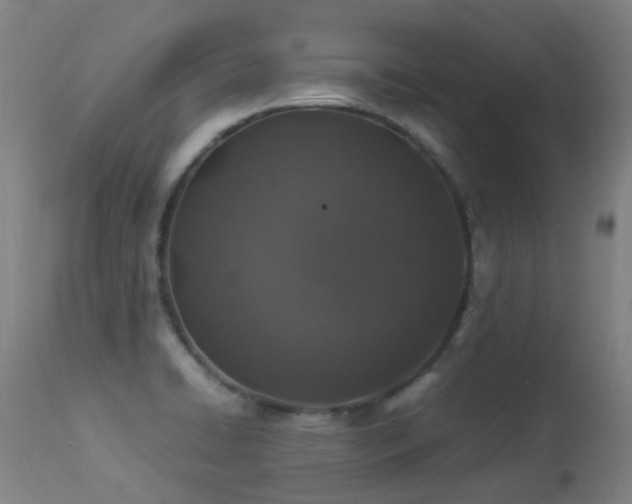 X0000113331422200909211209