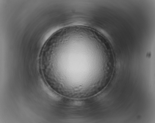 X0000113331423200909211209