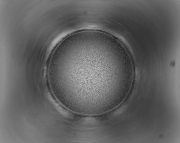X0000113331424200909211209