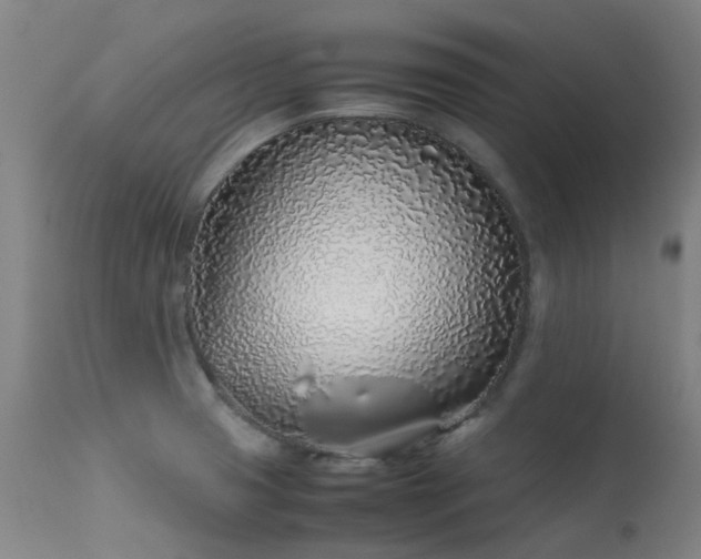 X0000113331425200909211209