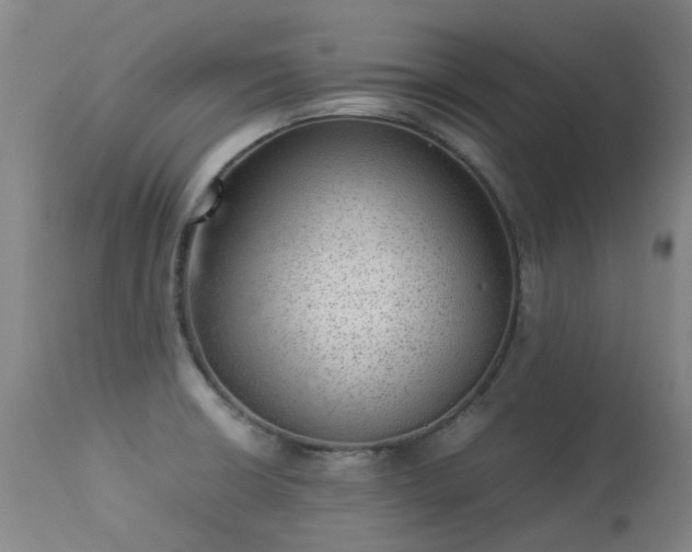X0000113331426200909211209