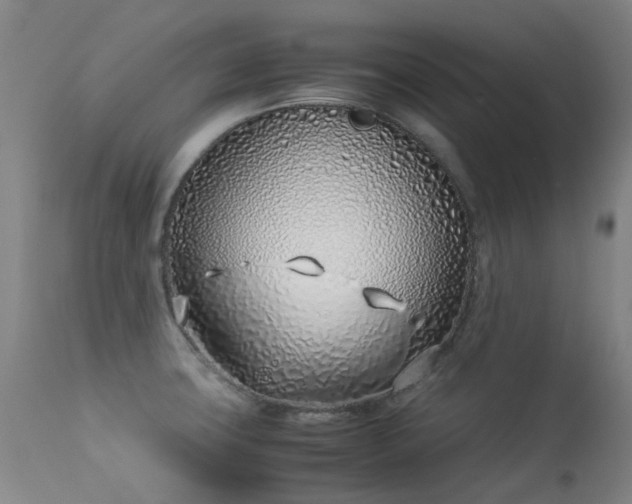 X0000113331427200909211209