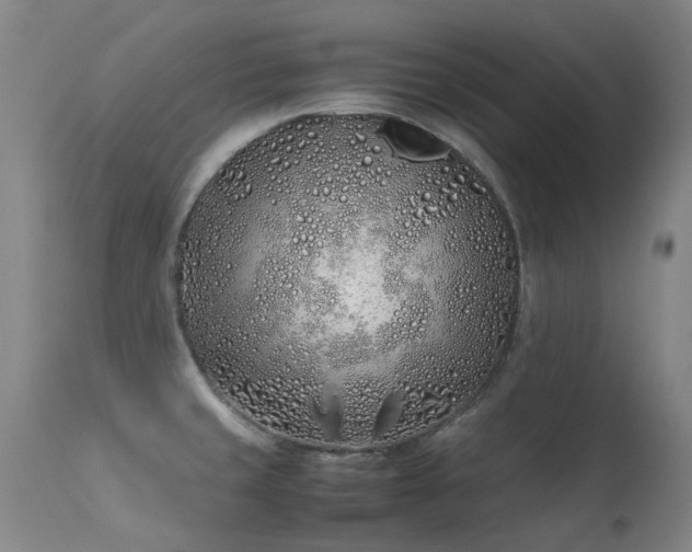 X0000113331429200909211209