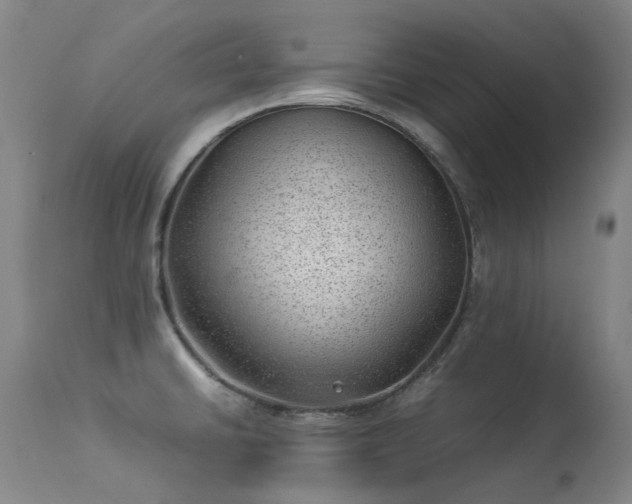 X0000113331430200909211209