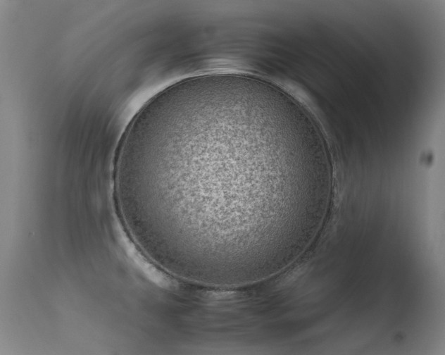 X0000113331431200909211209