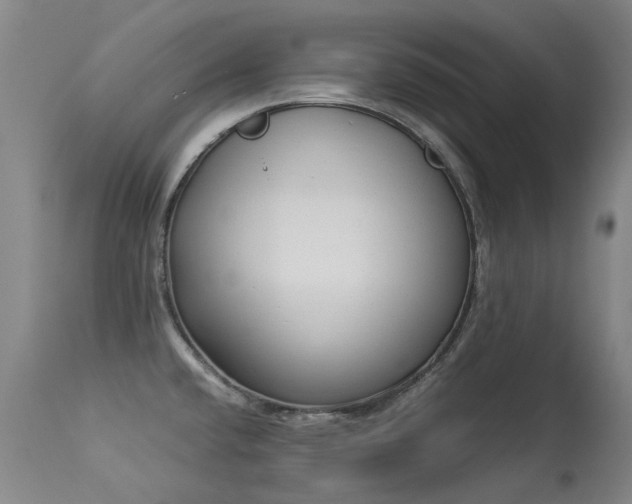 X0000113331432200909211209