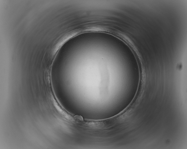 X0000113331433200909211209