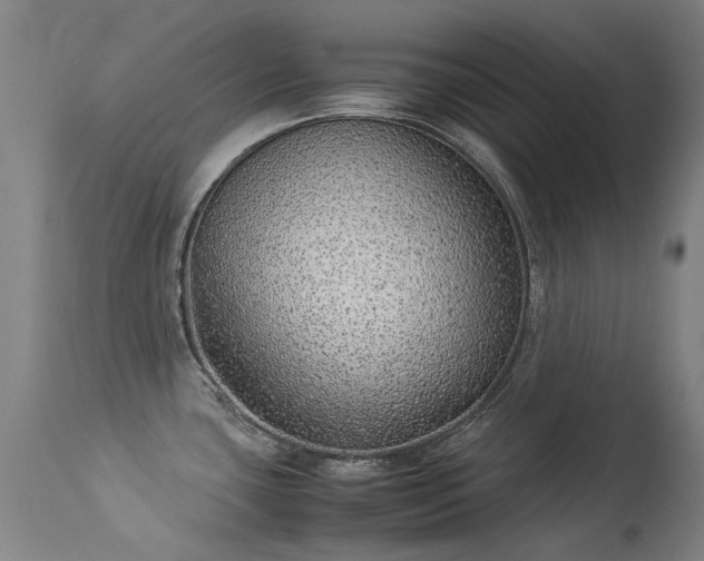 X0000113331435200909211210