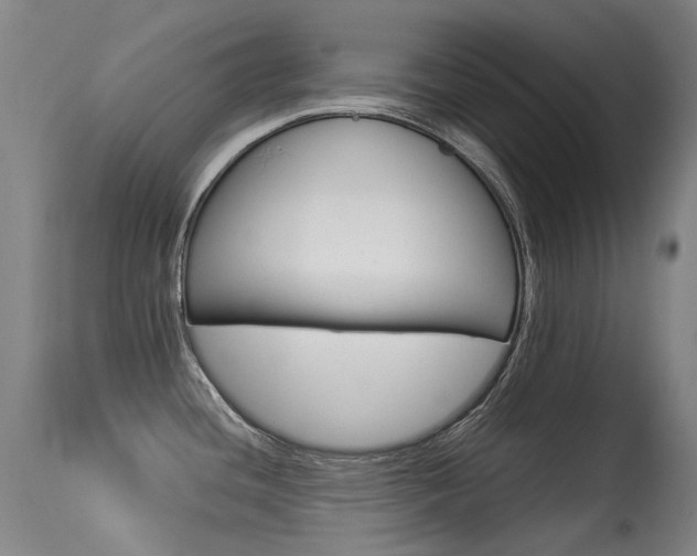 X0000113331436200909211210