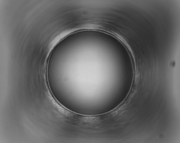 X0000113331437200909211210