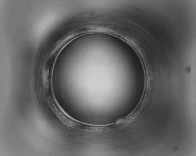 X0000113331438200909211210