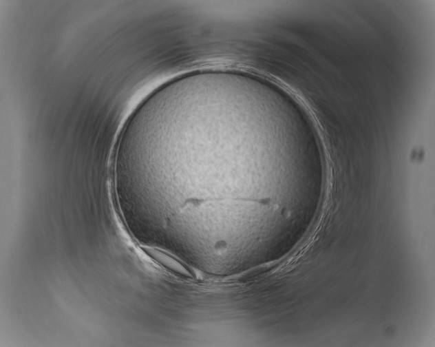 X0000113331440200909211210