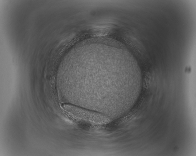 X0000113331441200909211208