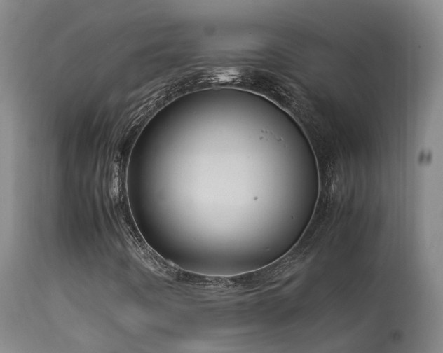 X0000113331442200909211208