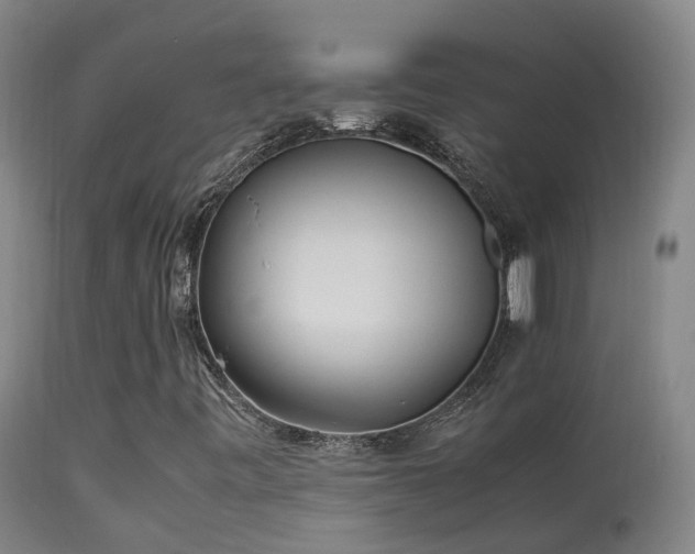 X0000113331443200909211208