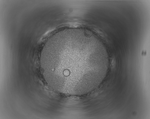 X0000113331446200909211208
