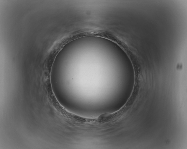 X0000113331447200909211208