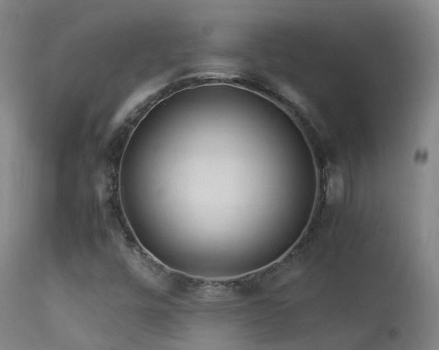 X0000113331448200909211208
