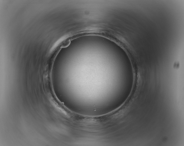 X0000113331450200909211208