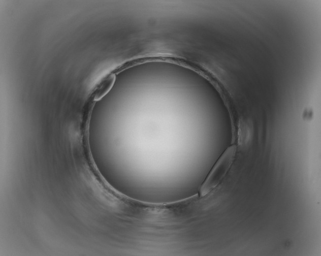X0000113331452200909211208