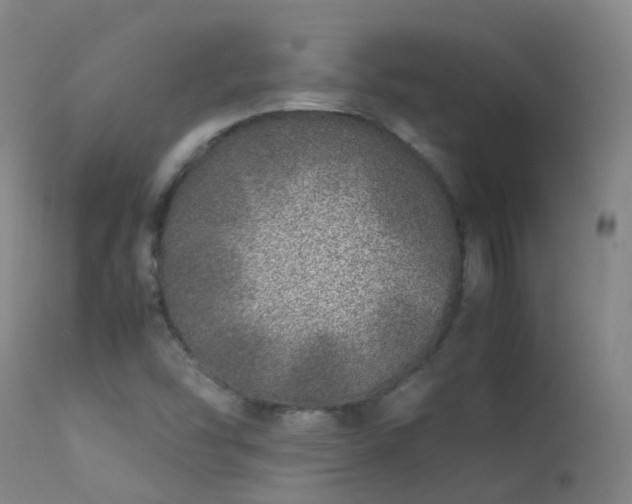 X0000113331454200909211208