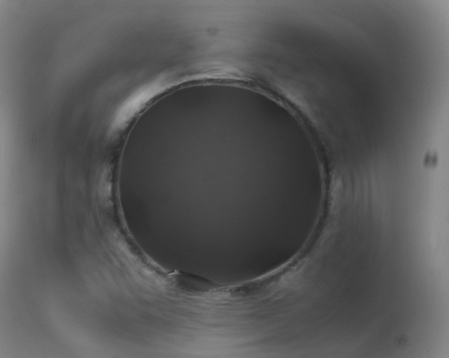 X0000113331455200909211208