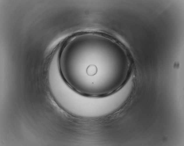 X0000113331456200909211208