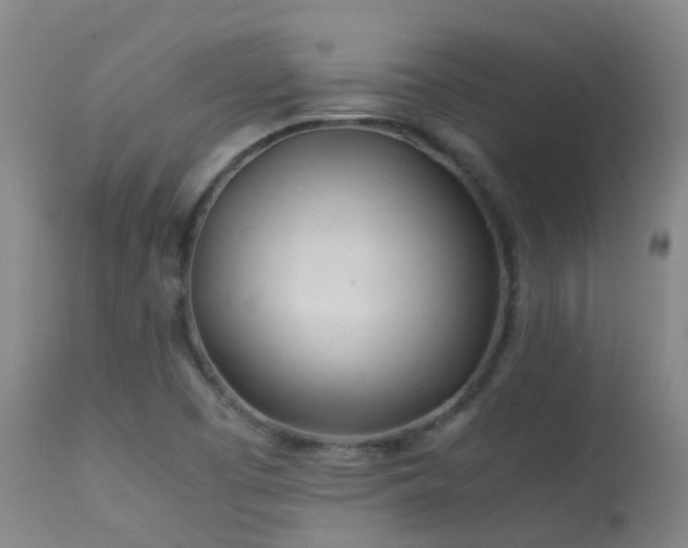 X0000113331457200909211208