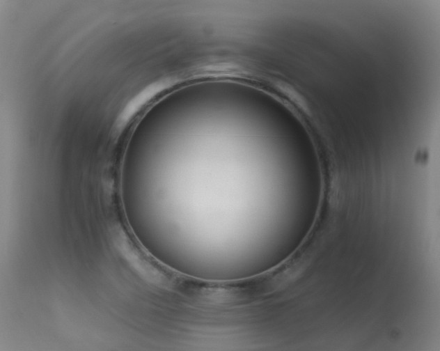 X0000113331458200909211208