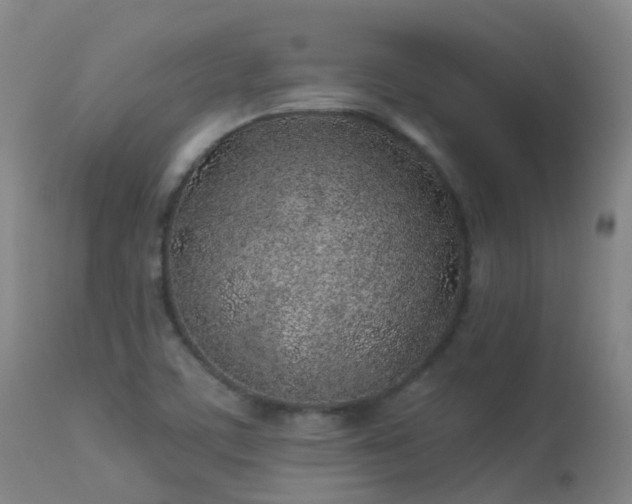 X0000113331459200909211208