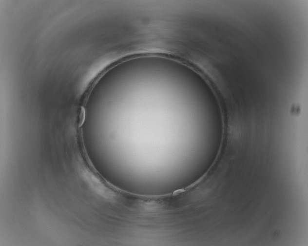 X0000113331460200909211208