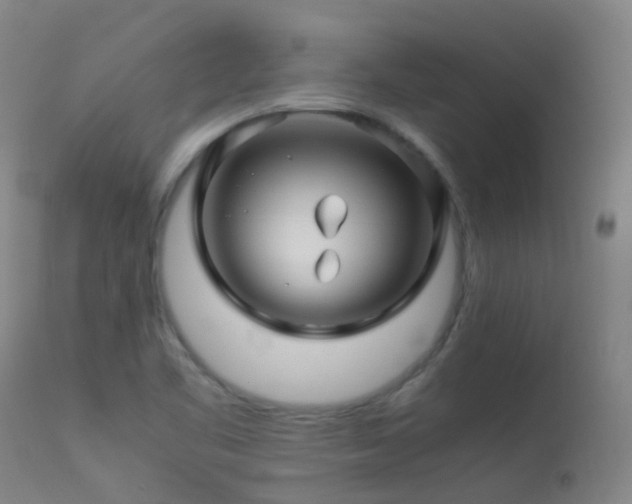 X0000113331461200909211208