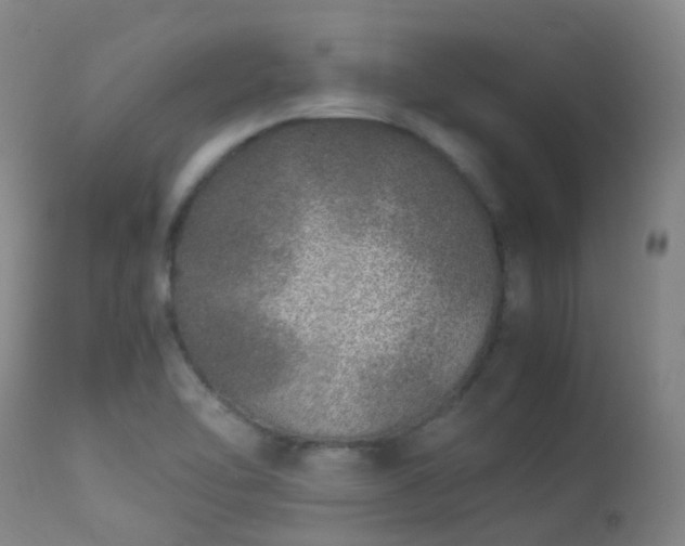 X0000113331462200909211208