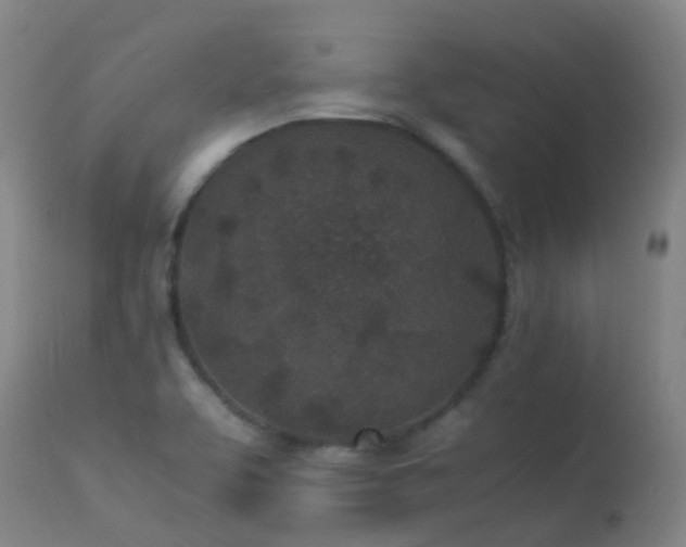 X0000113331463200909211208