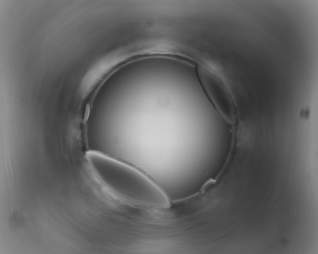X0000113331464200909211208