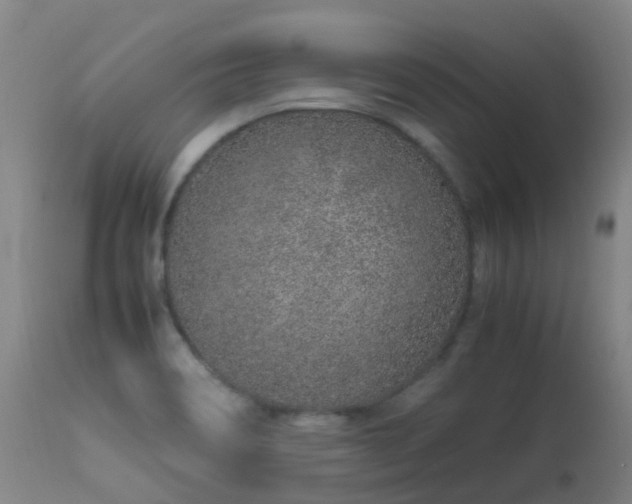 X0000113331466200909211208