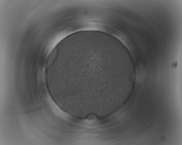 X0000113331468200909211208
